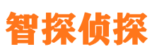 汤阴侦探公司